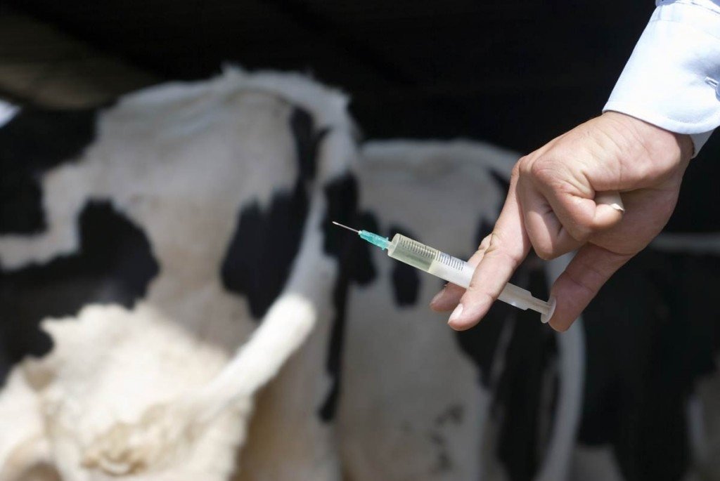 Animal health
