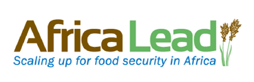 Africa Lead