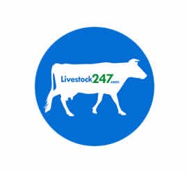 Livestock247