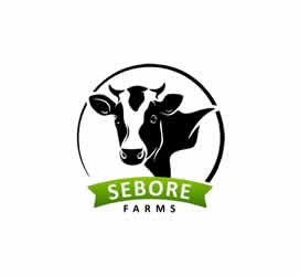 Sebore